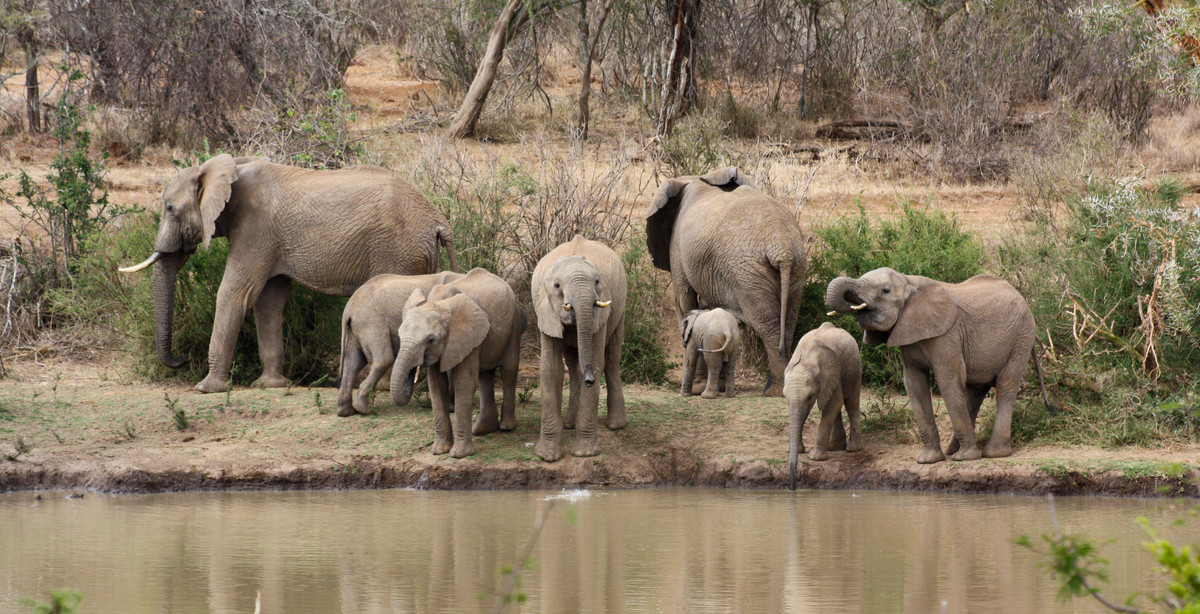 9 Days | 8 Nights Off Beaten Path Kenya Safari